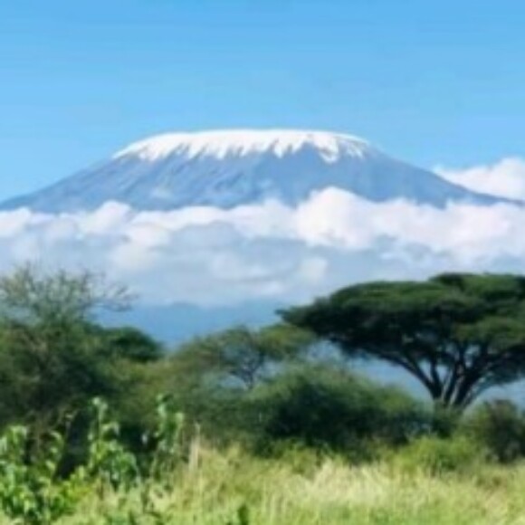 Profile picture of Jackline K